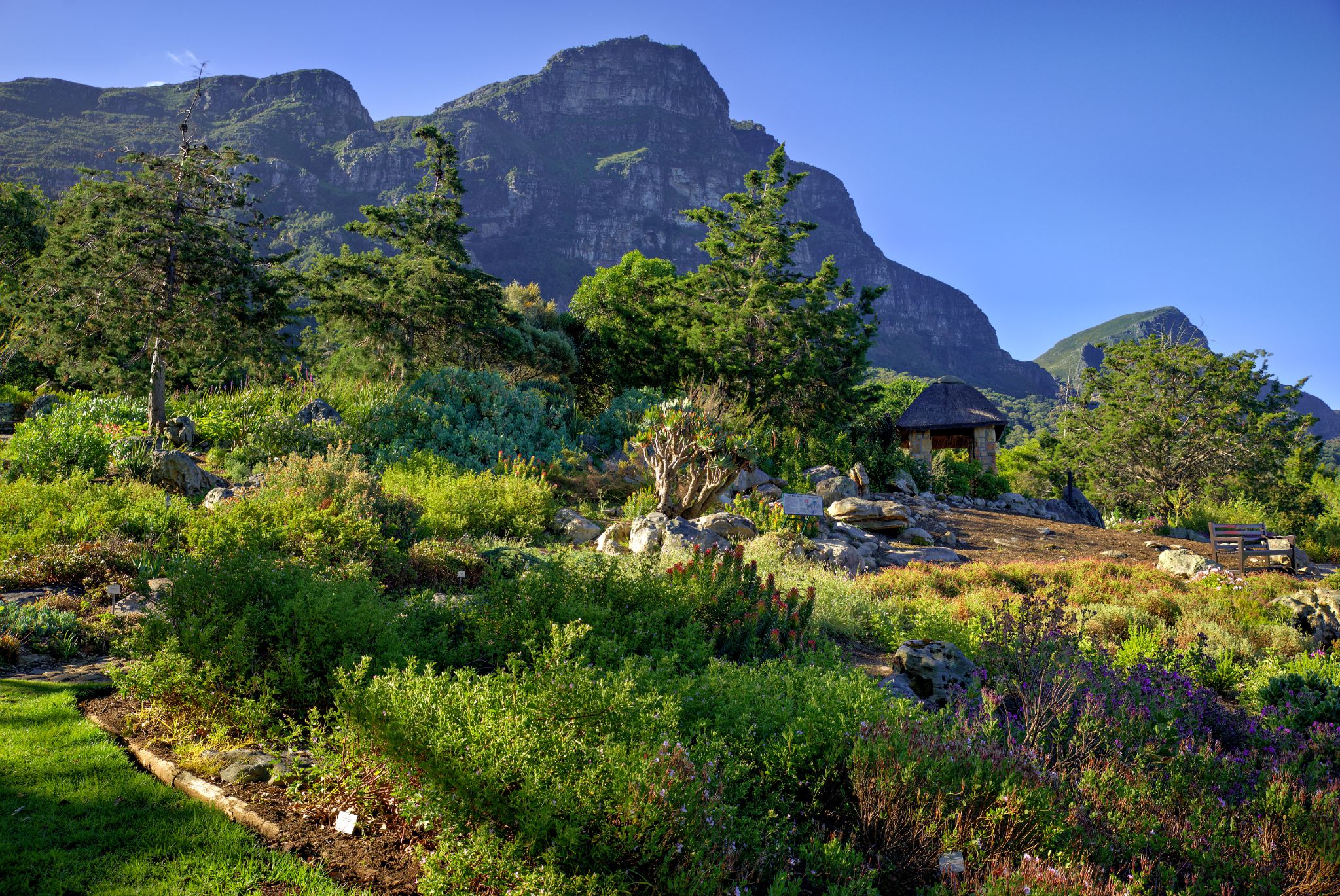 Botanischer Garten Kirstenbosch